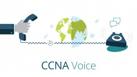 Cisco 640-461: CCNA Voice - ICOMM v8.0 - Cisco Voice and Unified Communications Administration 