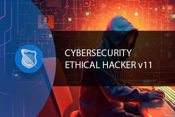 CEH , CISSP Certifications NOT NECESSARY - ACCORDING TO HACKERS